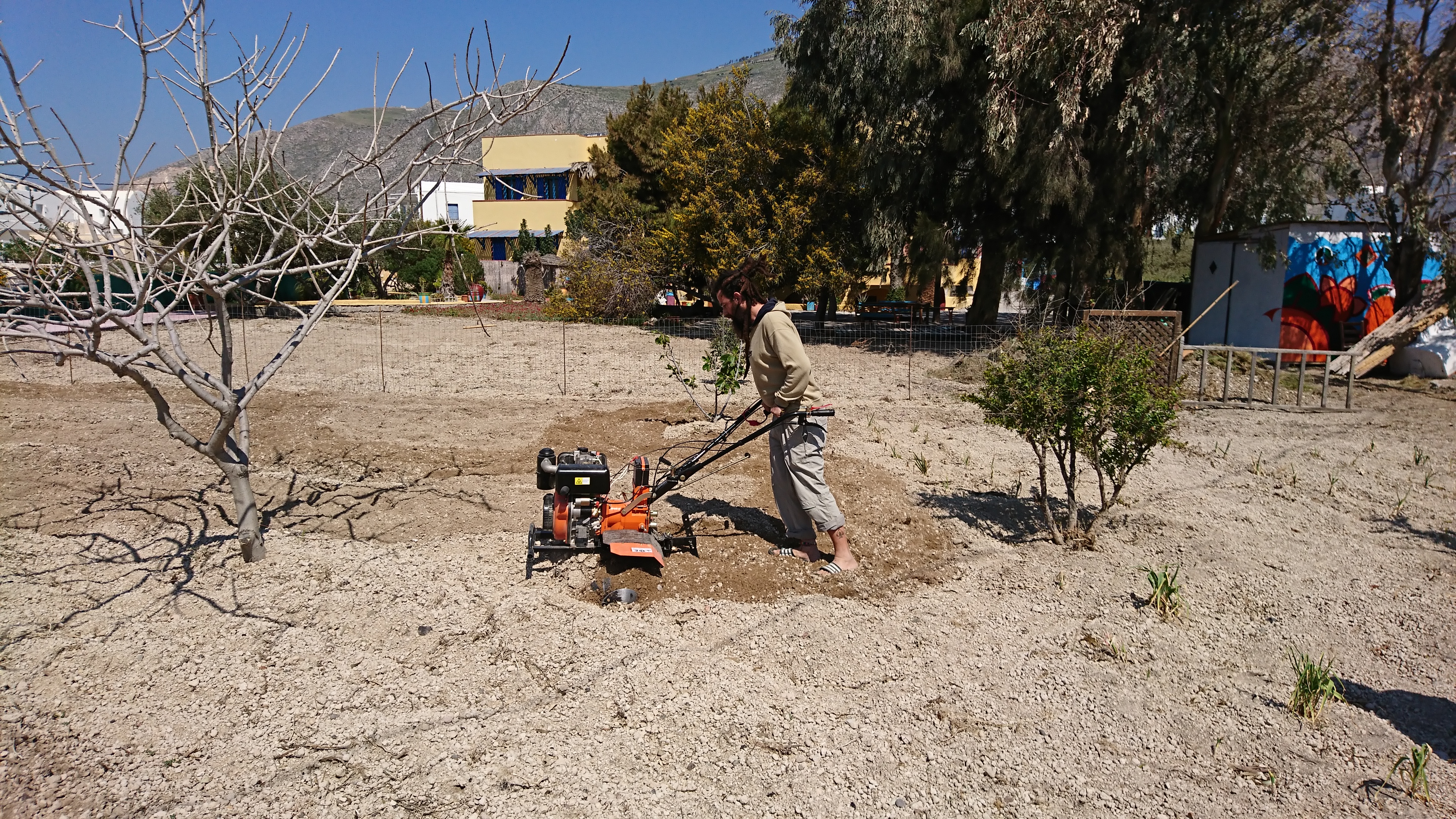 tranquilo santorini stuff bar volunteering